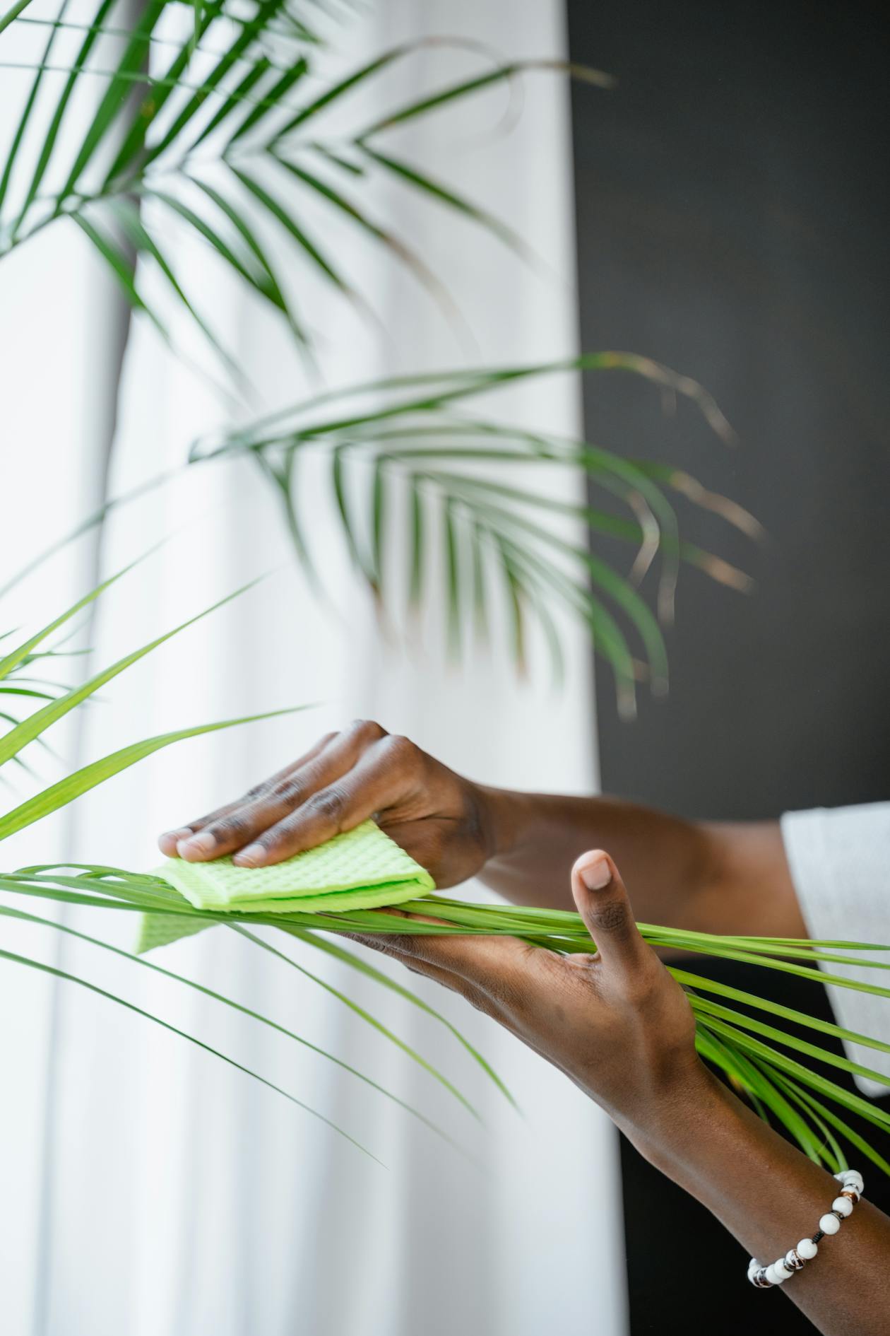 Person clearing wet leaves and debris out of a house gutter