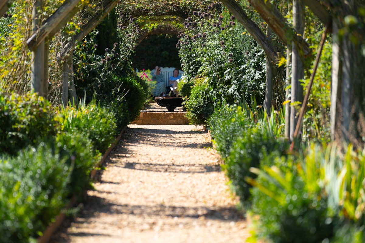 UK vegetable garden in spring with raised beds and rows of young seedlings
